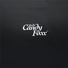 画像をギャラリービューアに読み込む, GINTA UKIYOE S/S T-Shirts